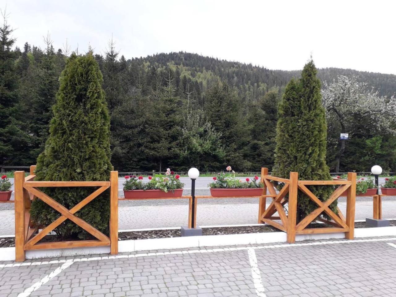 Готель Ольга Bukovel Ngoại thất bức ảnh